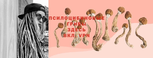 винт Абинск