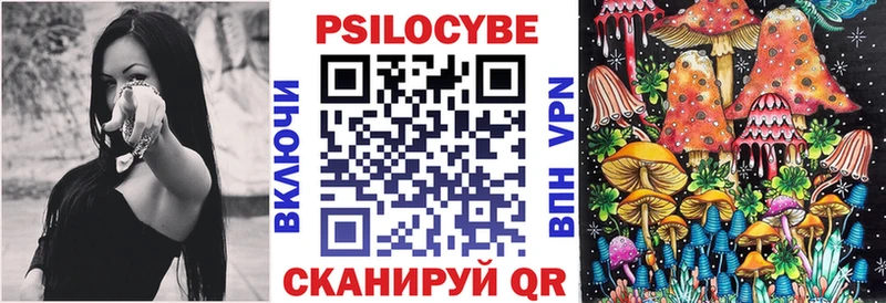 МЕГА   Касимов  Псилоцибиновые грибы Psilocybine cubensis  купить наркотики цена 